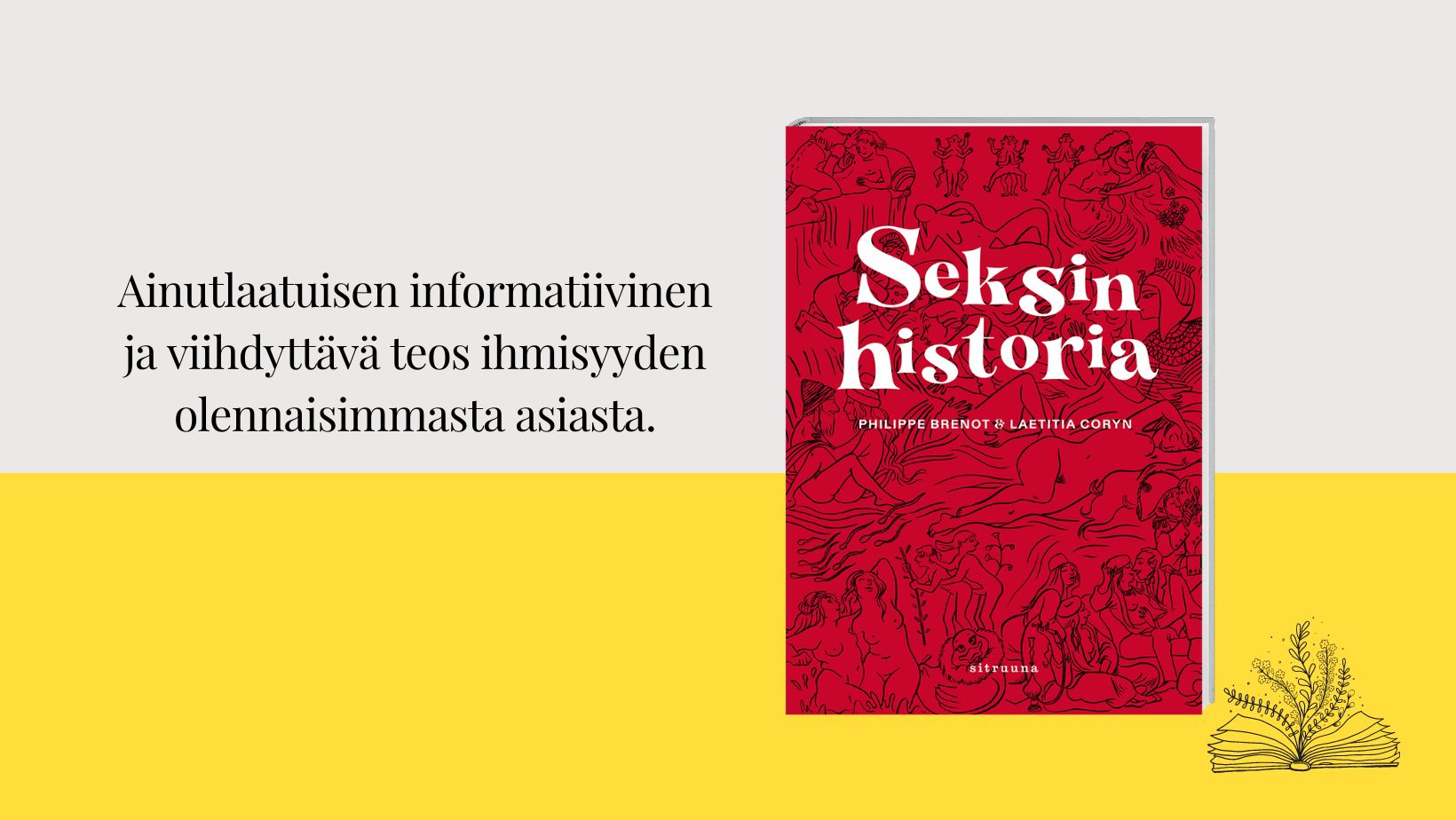Seksin historia kirjan kansikuva ja esittelyteksti