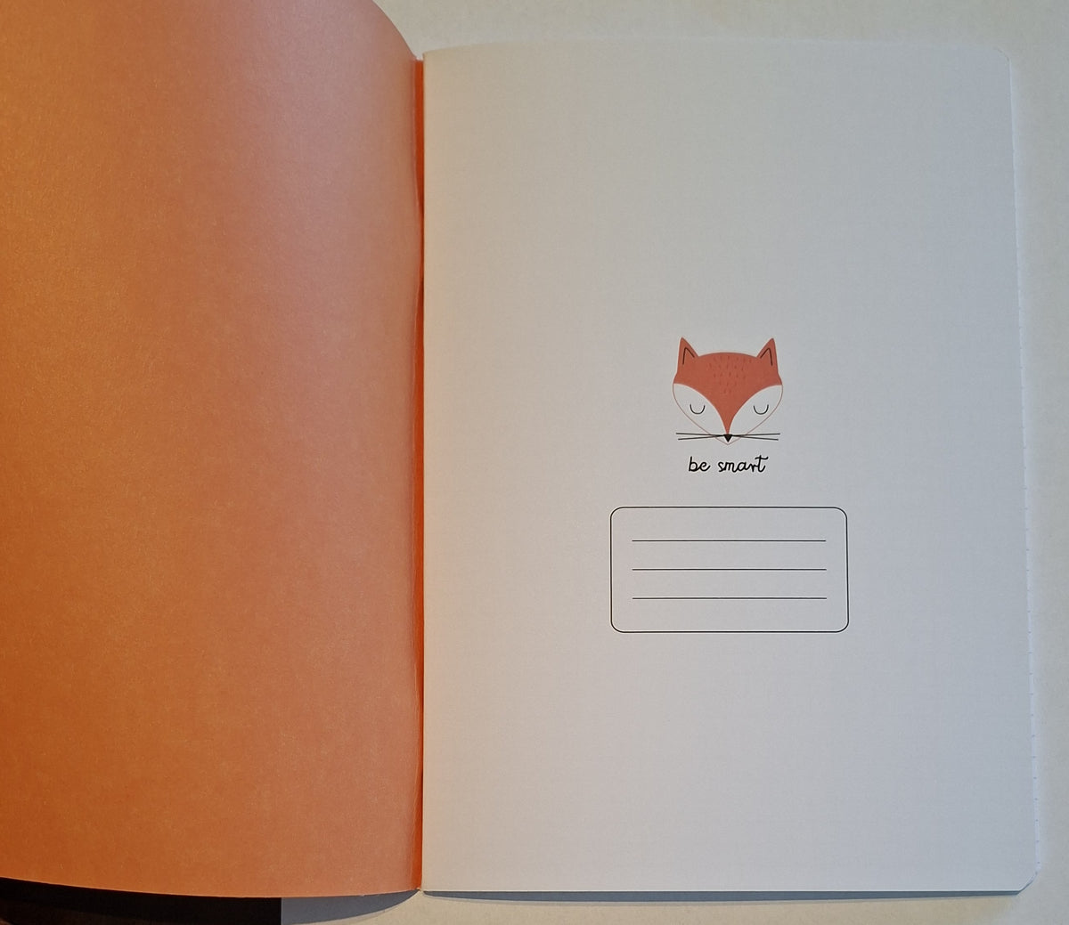Vihko A5 Bebe Friends - Be Smart