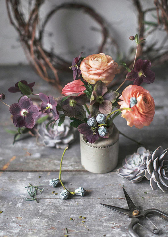 Helleborus And Friends postikortin tuotekuva